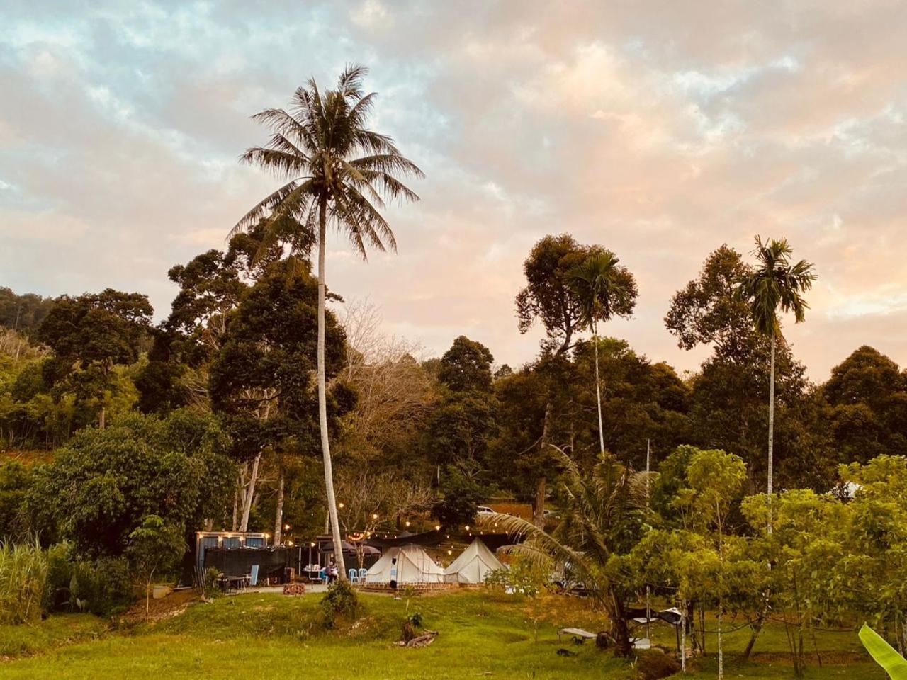 Tanah Merah Glamping Village 쿠알라캉사르 외부 사진